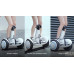 Ninebot Plus
